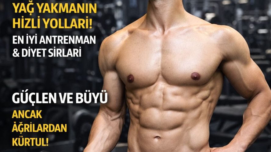 Online Fitness Programı